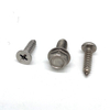 A cruz de aço inoxidável A2-70 A4-80 Recessed Pan Head Self Tapping Screws 